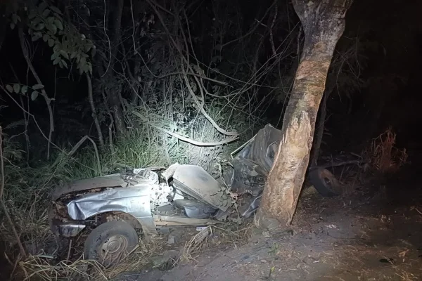 carro bate em árvore