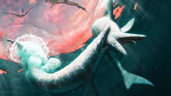 Nova espécie de mosassauro era semelhante a um dragão-de-komodo