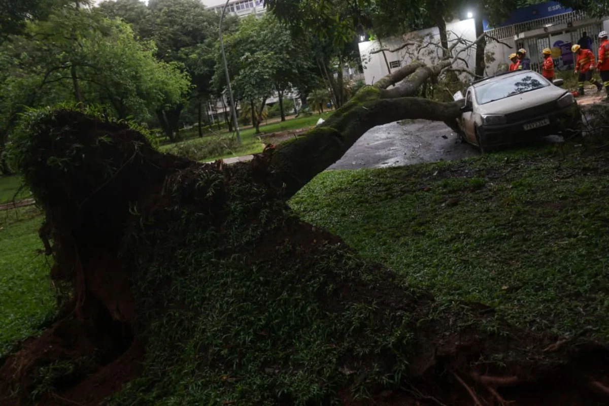 Uma testemunha relatou que o incidente ocorreu por volta das 15h. Ele disse que durante a chuva escutou um barulho de raio e em seguida gritos por socorro Uma testemunha relatou que o incidente ocorreu por volta das 15h. Ele disse que durante a chuva escutou um barulho de raio e em seguida gritos por socorro