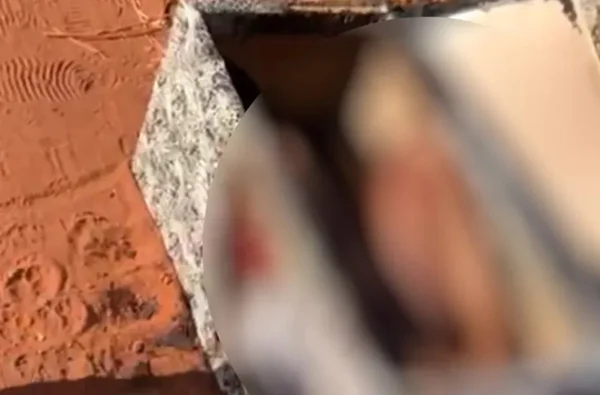 Mulher é encontrada morta dentro de baú e com parte do corpo queimado, em Anápolis, Goiás
