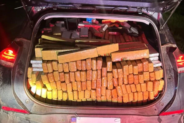 Polícia Militar Rodoviária encontrou 1,3 mil tijolos de maconha após perseguição na Washington Luís, em Mirassol. Suspeito fugiu - Metrópoles