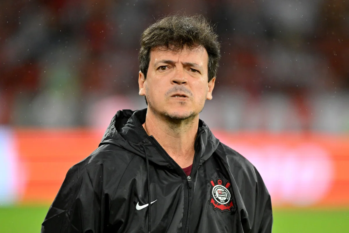 Fernando Diniz tem mais derrotas que vitórias no Brasileirão