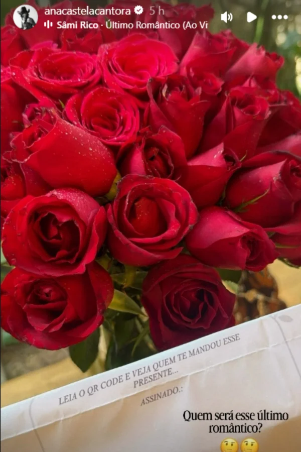 Ana Castela recebe buquê de rosas: “Quem será esse último romântico?” - destaque galeria Ana Castela recebe buquê de rosas: “Quem será esse último romântico?” - destaque galeria