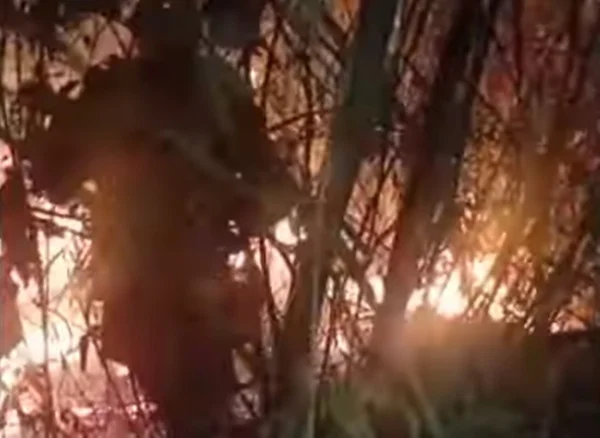 Incêndio na Chapada dos Veadeiros já chega ao terceiro dia