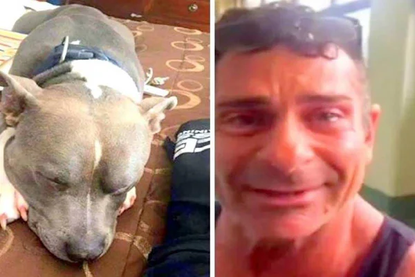 Na foto temos uma montagem com duas fotos, do lado esquerdo um cachorro domingo e do direito um homem chorando