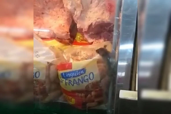 Rato em açougue