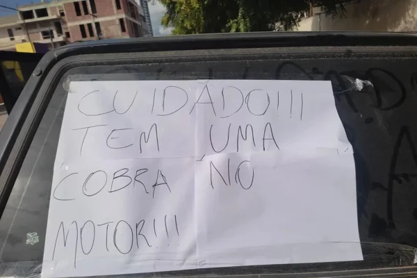 Mulher deixa recado avisando que cobra entrou no veículo - Metrópoles