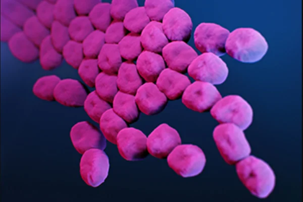 Acinetobacter baumannii superbactéria