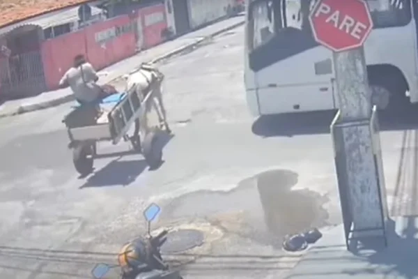 Ônibus colide com carroça em Aracaju