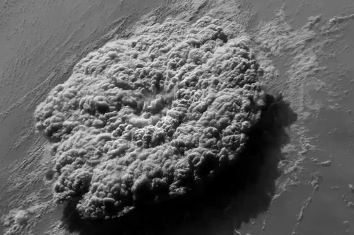 EUA emitem alerta para tsunamis após erupção em Tonga