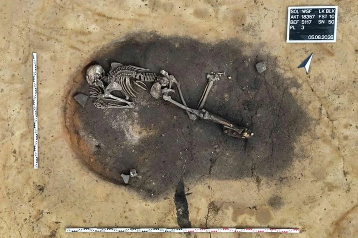 Sepultamento Chocante: Homem de 5 Mil Anos Encontrado em Forno na Alemanha Pode Ter Sido Vítima de Sacrifício Humano da Cultura Cordada
