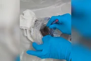 Ele afirmou que a substância era doce de leite Ele afirmou que a substância era doce de leite