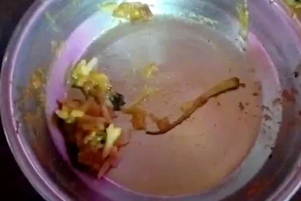 rabo de lagarto