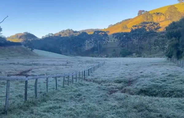 Cidade de MG registra -3°C, menor temperatura do país, e amanhece coberta por geada