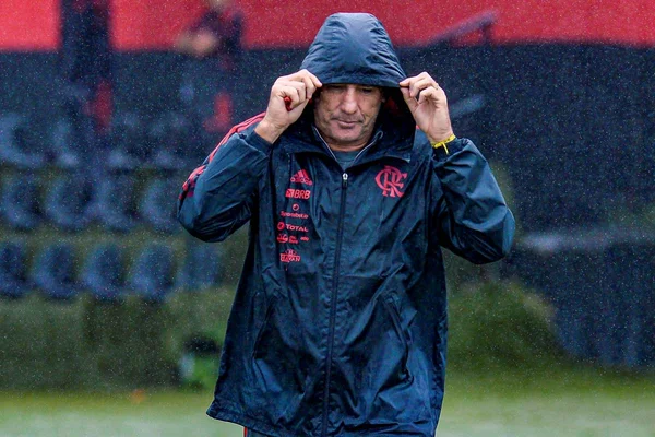 Renato Gaúcho
