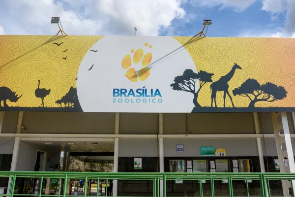 Após um mês fechado, Zoológico de Brasília reabre nesta segunda (7/7)