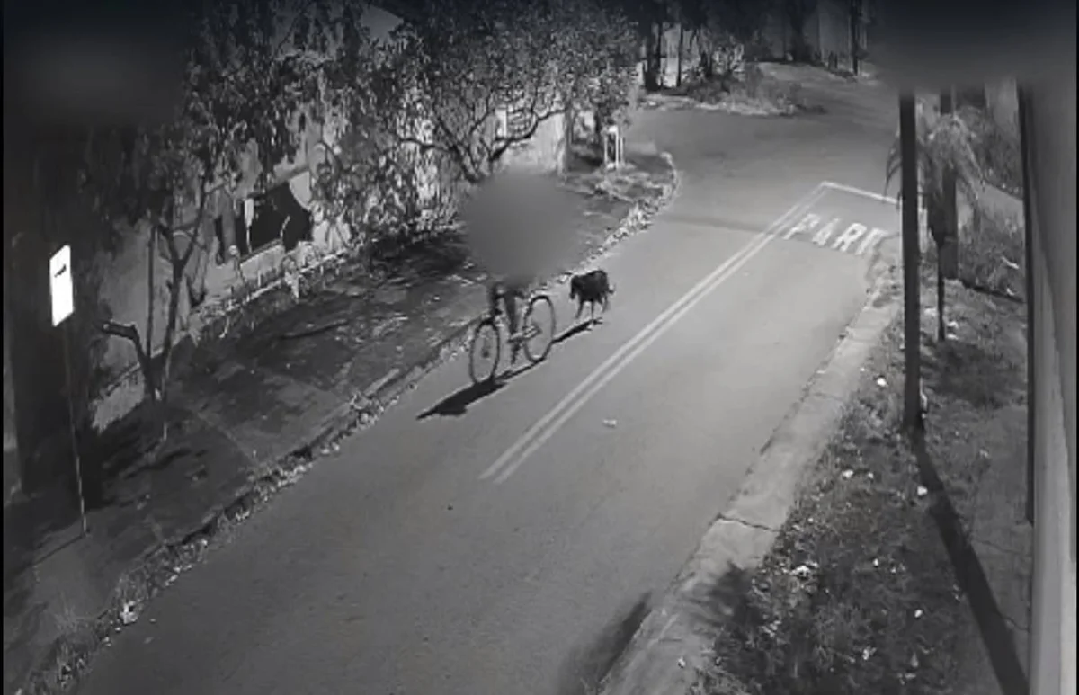 Ação do criminoso foi registrada por câmeras de segurança da região Ação do criminoso foi registrada por câmeras de segurança da região