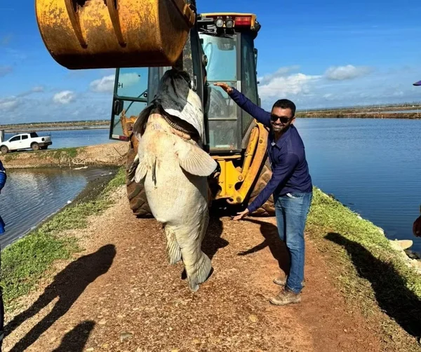 Imagem colorida de peixe gigante - Metrópoles