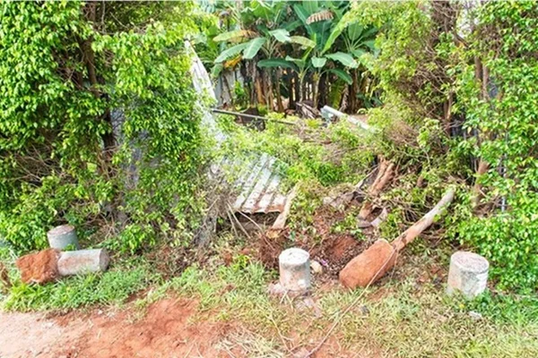 Motorista de Mercedes derruba poste e invade quintal no DF
