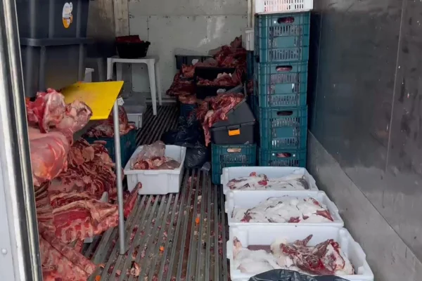 Imagem colorida de carne estragada em Santa Catarina - Metrópoles