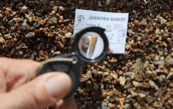 Restos de misteriosos humanos extintos descobertos em caverna da Sibéria
