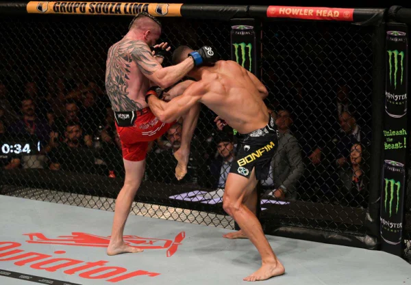 Imagem mostra lutadores em luta no UFC - Metrópoles