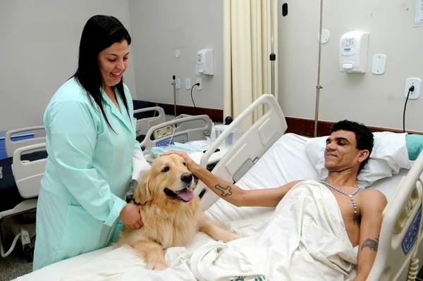 Animais ajudam na recuperação de pacientes do Hospital de Apoio do DF