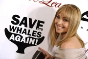 Hayden Panettiere relembre a luta da atriz pela proteção animal Hayden Panettiere relembre a luta da atriz pela proteção animal