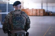 Cães farejadores da PMDF vistoriam urnas eletrônicas a 5 dias do 2° turno - imagem 5