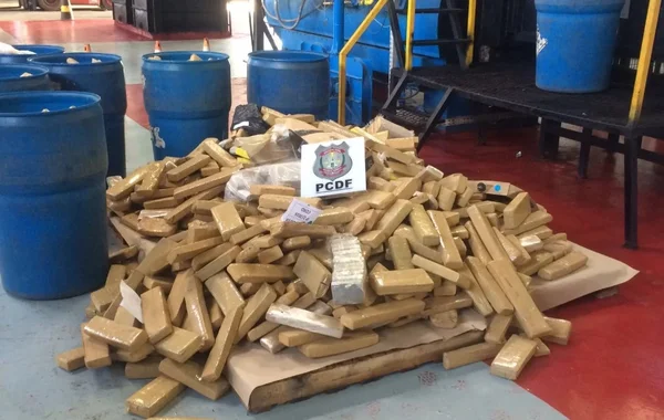 Polícia Civil incinera três toneladas de maconha apreendidas no DF