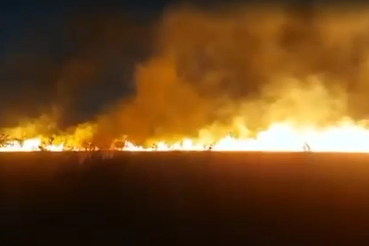 Incêndio florestal de grandes proporções em Sobradinho II: 300m² devastados