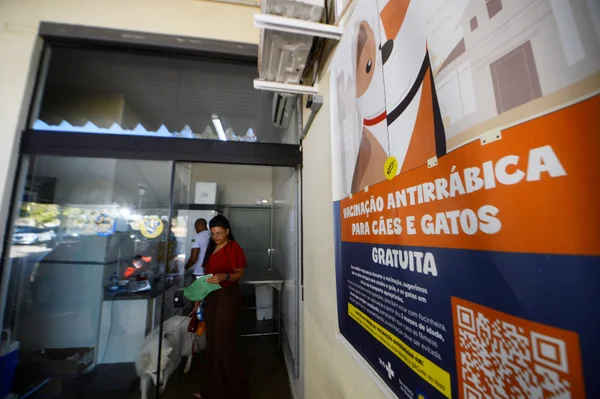 Vacinação antirrábica no DF