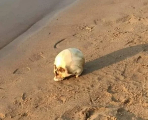 Crânio é encontrado em praia no Acre