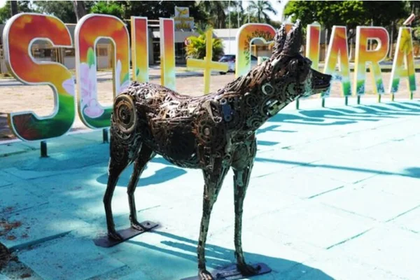Placa sou Guará