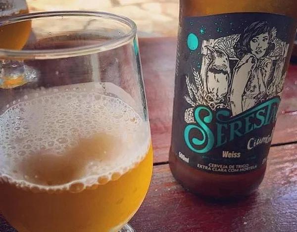 Harmonização: esta cerveja combina com o quê?