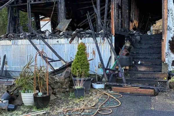 Gato de 9 semanas morre ao salvar dono de incêndio durante a madrugada