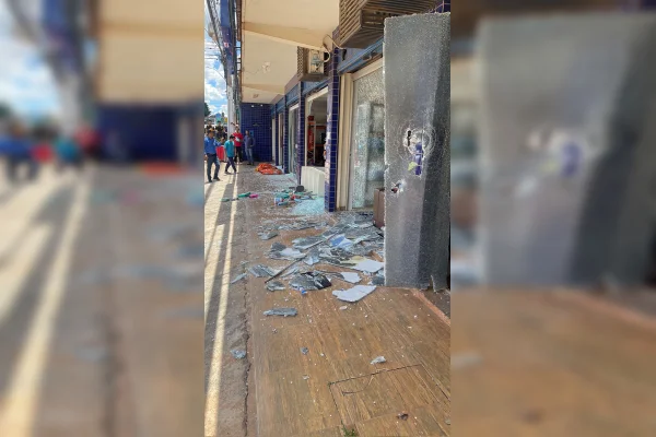 Em surto após morte de cadela, tutor destrói pet shop a marteladas