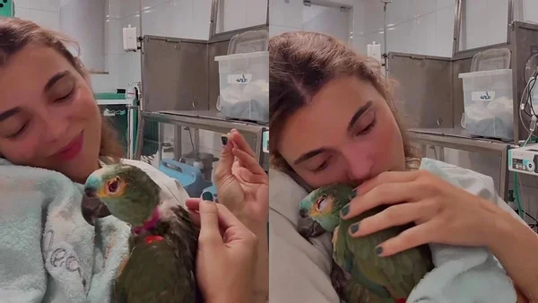 Foto colorida de veterinária segurando papagaio
