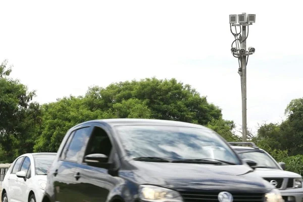 Pardal e carros - Metrópoles