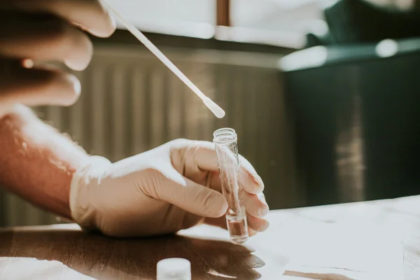 Uma mão usando uma luva de látex segura um pequeno tubo transparente e mergulha um cotonete no líquido. Conceito de teste de DNA em laboratório