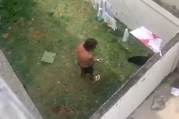 Um vizinho flagrou o homem de 49 anos maltratando o animal no quintal de sua casa em Jundiaí. Cão foi adotado por agente da Guarda Municipal - Metrópoles