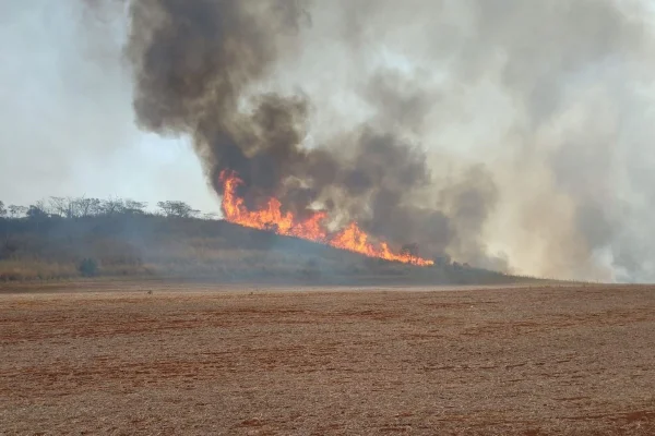 Interior de SP registra 3 municípios com focos ativos de incêndio