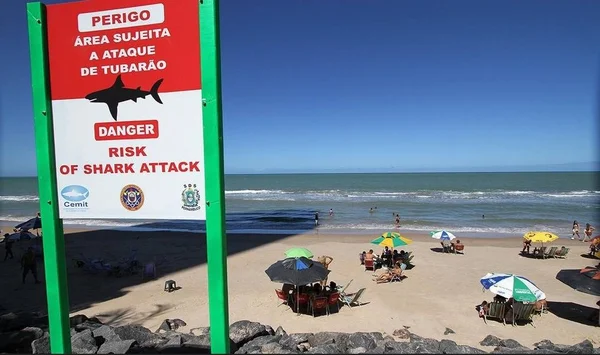 Ataque de tubarão em Pernambuco
