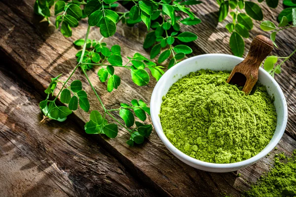Imagem colorida da moringa - Metrópoles