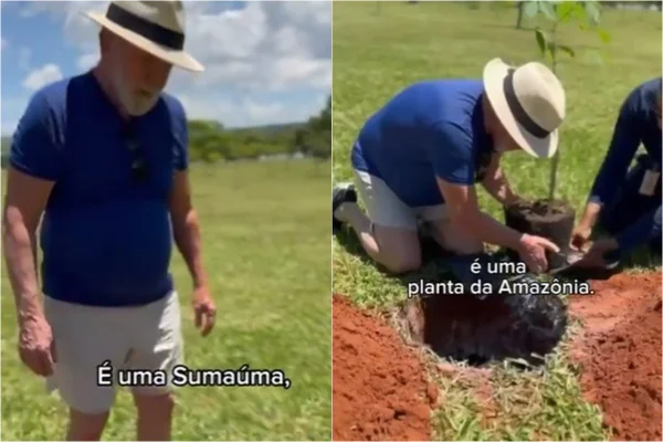 Foto colorida de Lula plantando mudas no Alvorada - Metrópoles