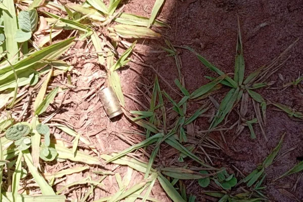 Foto colorida de bala encontrada em meio a ataque em terra indígena no Paraná - Metrópoles
