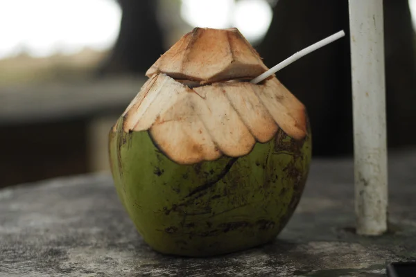 Imagem colorida de água de coco raspada - Metrópoles