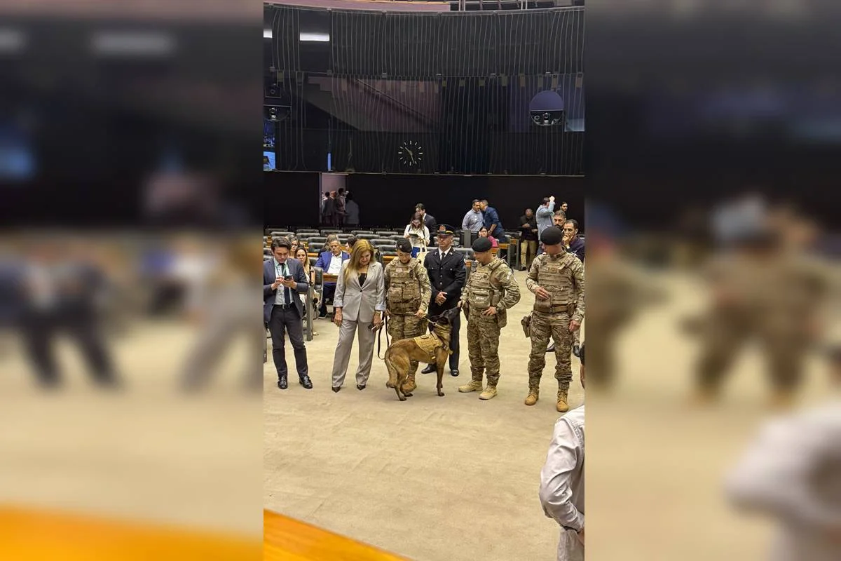 Sessão solene sobre prevenção contra maus-tratos aos animais, na Câmara dos Deputados, realizada nesta quarta-feira (23/4) Sessão solene sobre prevenção contra maus-tratos aos animais, na Câmara dos Deputados, realizada nesta quarta-feira (23/4)