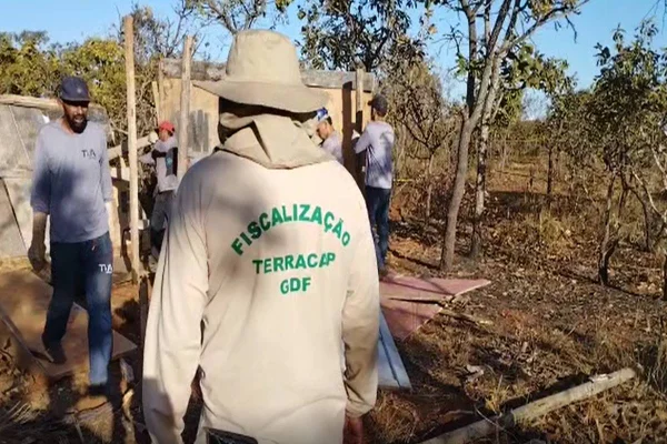 Foto de um homem de costas e um fundo de vegetação