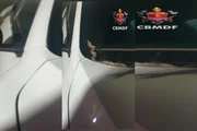 Cobra estava no para-brisa do veículo